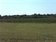 IMG00023-20090625-1025.jpg